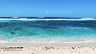 Polski przewodnik na Mauritiusie. Tropikalne Wakacje. Atrakcje Mauritiusa.