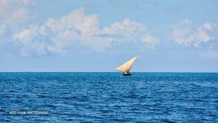 Polski przewodnik na Zanzibarze w Tanzanii. Deo. Atrakcje Zanzibaru.