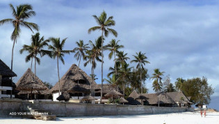 Polski przewodnik na Zanzibarze. Marcin Salim. Atrakcje Zanzibaru.