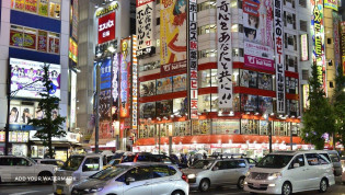 Polskie biuro podrózy w Tokio w Japonii Ryoko